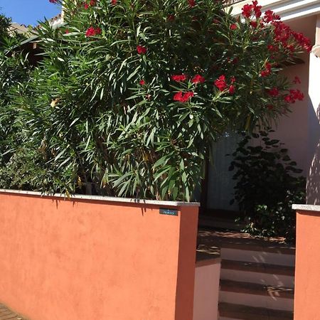 Apartament Borgo Saraceno Mirto 5 San Pasquale Zewnętrze zdjęcie