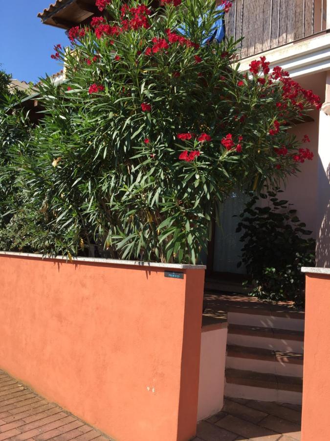 Apartament Borgo Saraceno Mirto 5 San Pasquale Zewnętrze zdjęcie